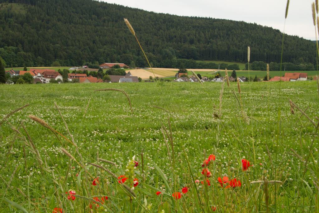 Fewo Alte Schule Willingen  Kültér fotó