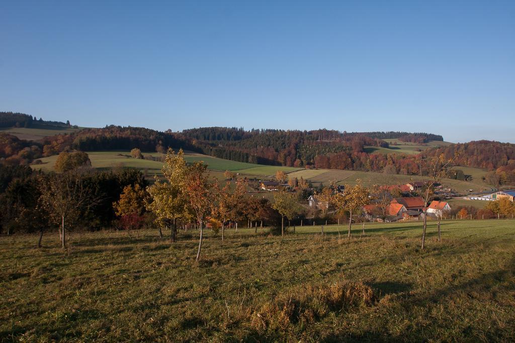 Fewo Alte Schule Willingen  Kültér fotó