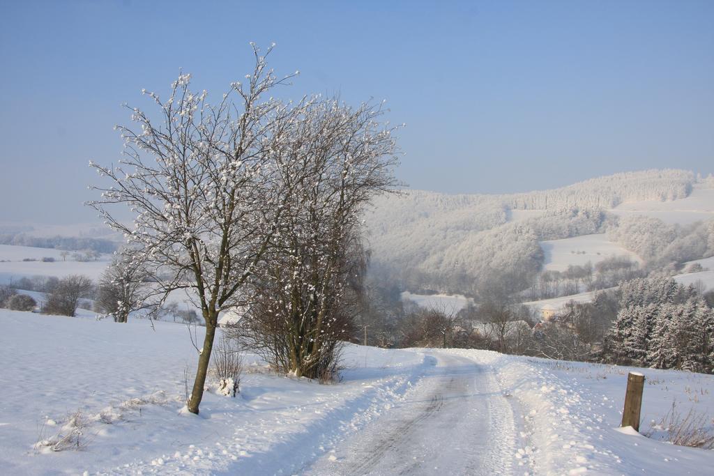 Fewo Alte Schule Willingen  Kültér fotó